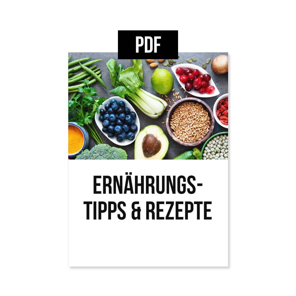 Guide des conseils nutritionnels et des recettes [PDF] en anglais