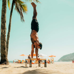 Set de Calisthenics Intermediate - Parallettes (medium),Anneaux Gymnastique, Magnésium Liquide, Bandes de Résistance